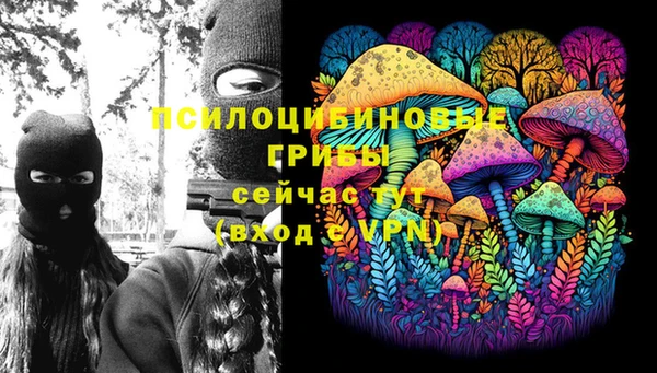 МДПВ Новокубанск
