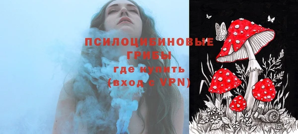 МДПВ Новокубанск