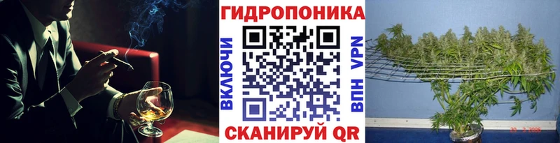 Купить закладки  Камышлов  Марихуана конопля 